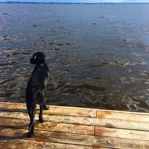 Meet your Posher, Liz